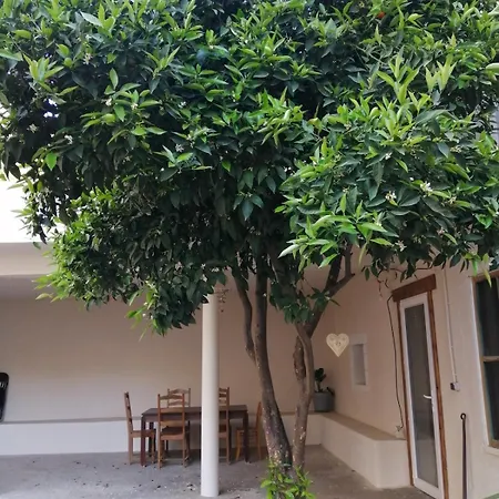 Lumi Avec Patio Et Jardin * Ortaffa