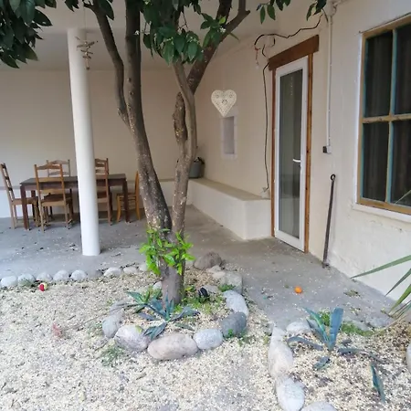 Lumi Avec Patio Et Jardin