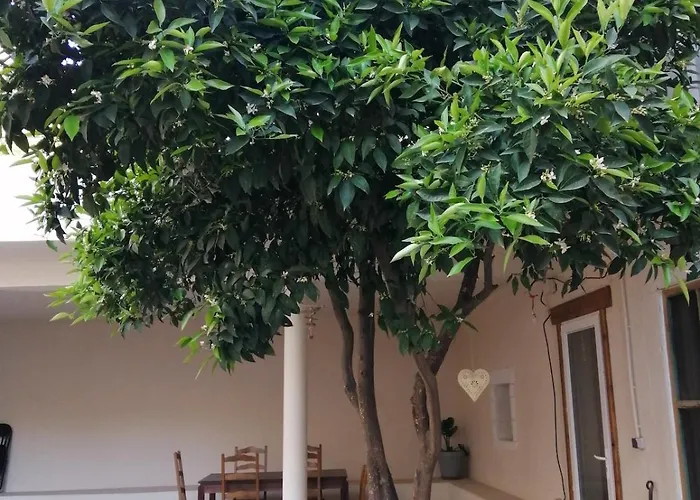 Lumi Avec Patio Et Jardin * Ortaffa