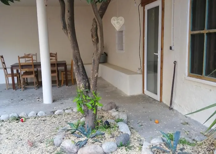 Lumi Avec Patio Et Jardin